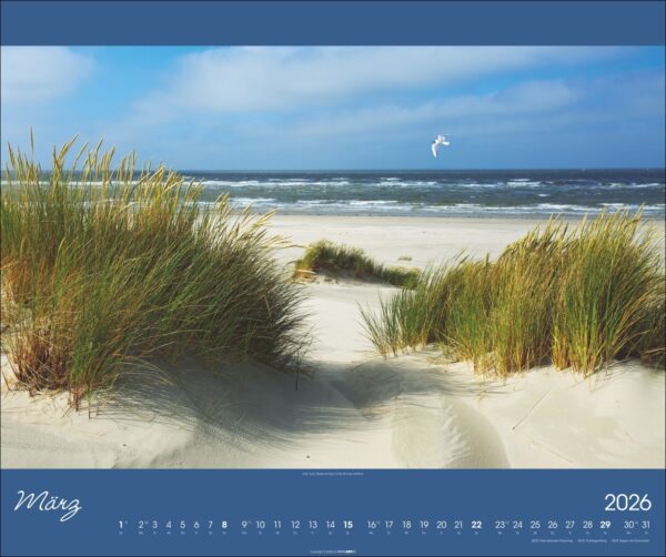 Nordsee 2026 – Bild 4