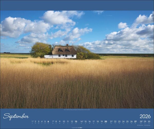 Nordsee 2026 – Bild 10