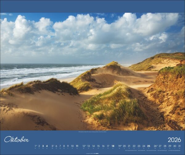 Nordsee 2026 – Bild 11
