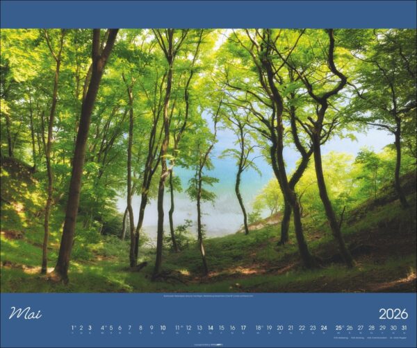 Ostsee 2026 – Bild 6