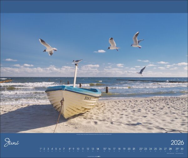 Ostsee 2026 – Bild 7