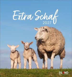Extra Schaf - PostkartenKalender 2027